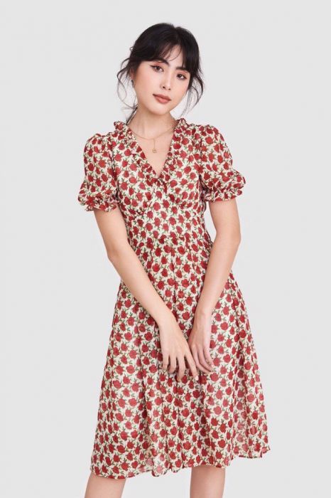 Dam voan co V vien beo hoa tiet hoa